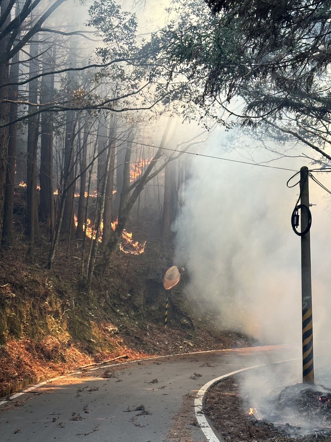 新竹县五峰乡大鹿林道24.5公里处今天中午发生森林火警，道路暂时封闭。图／新竹林管处提供