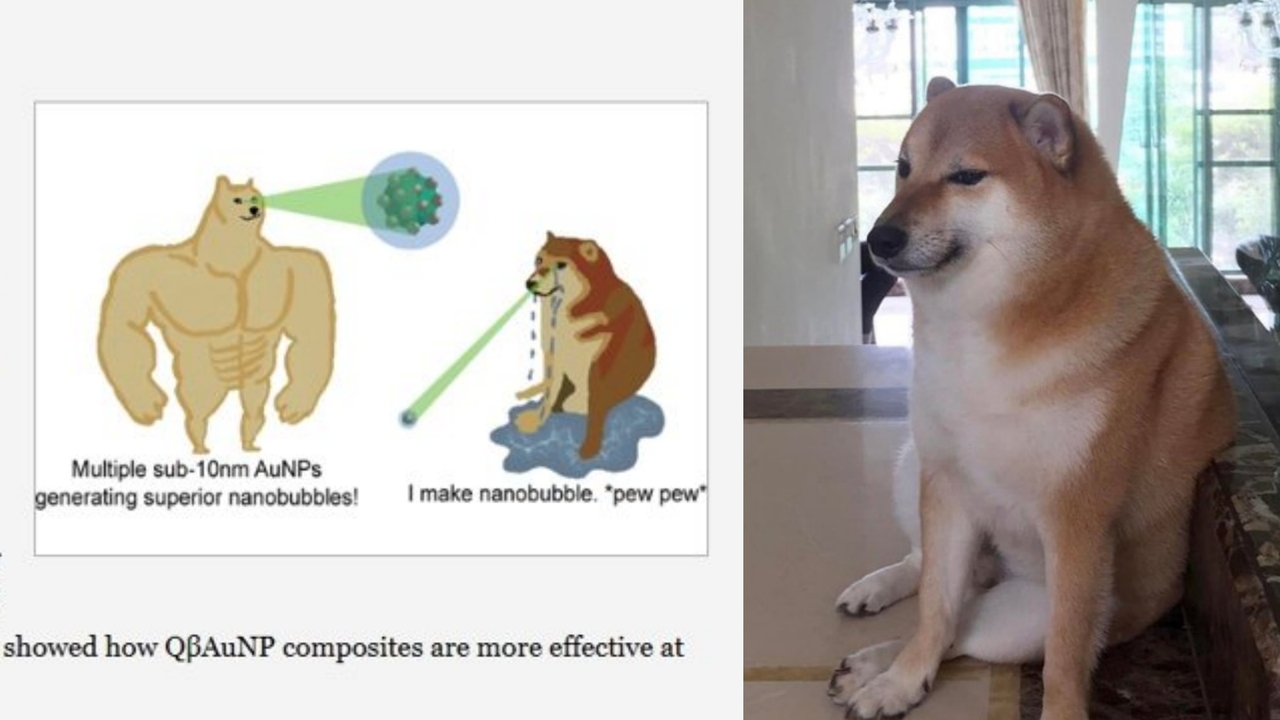 期刊論文出現梗圖！學者用「筋肉柴與小廢柴」迷因解釋奈米氣泡| 新聞資訊| udn遊戲角落