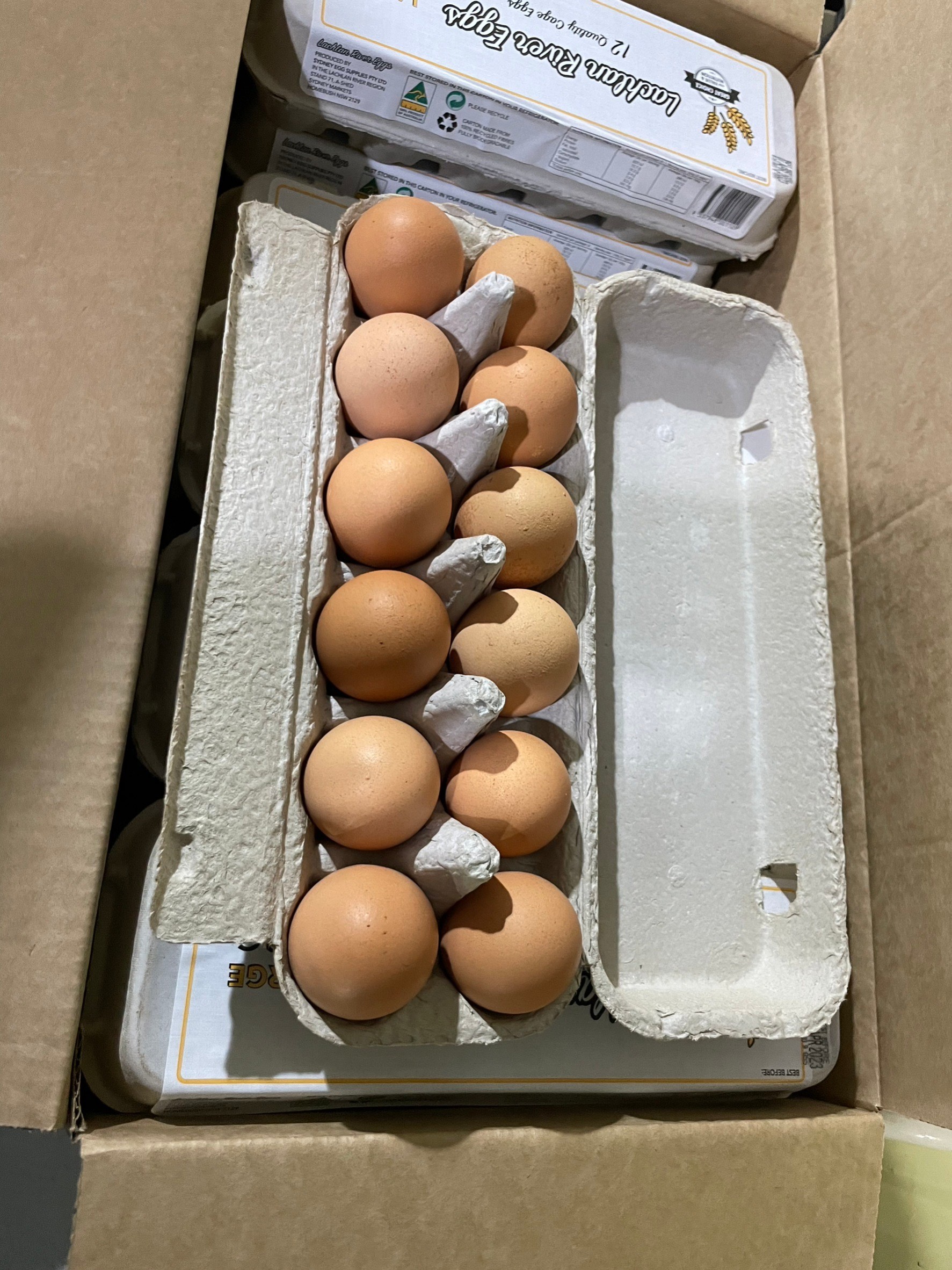 农委会表示，月底前要从澳洲进口500万颗鸡蛋；分配到加工厂，也将进入北部零售市场。图为澳洲进口鸡蛋。图／业者提供