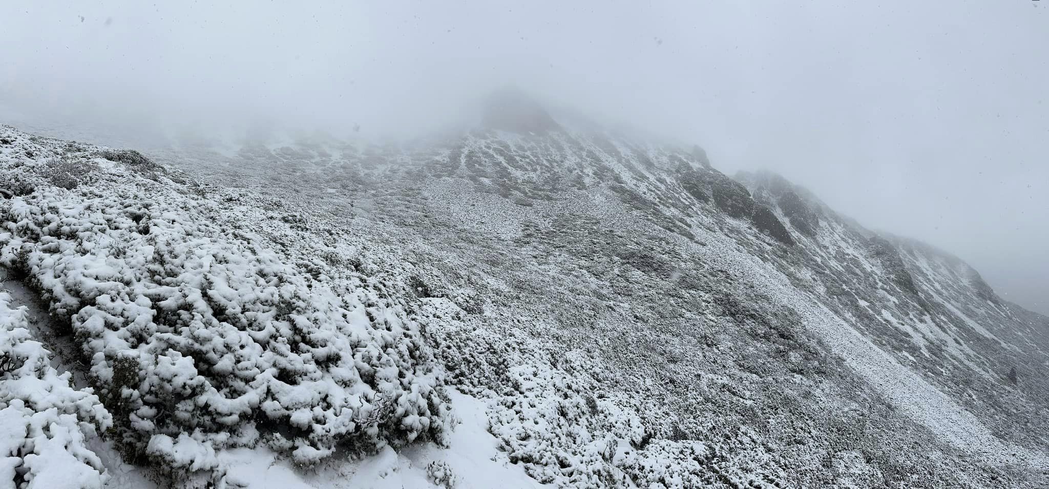 有民众今于脸书PO出雪山降雪照片。图／取自脸书「雪霸国家公园登山资讯分享站」