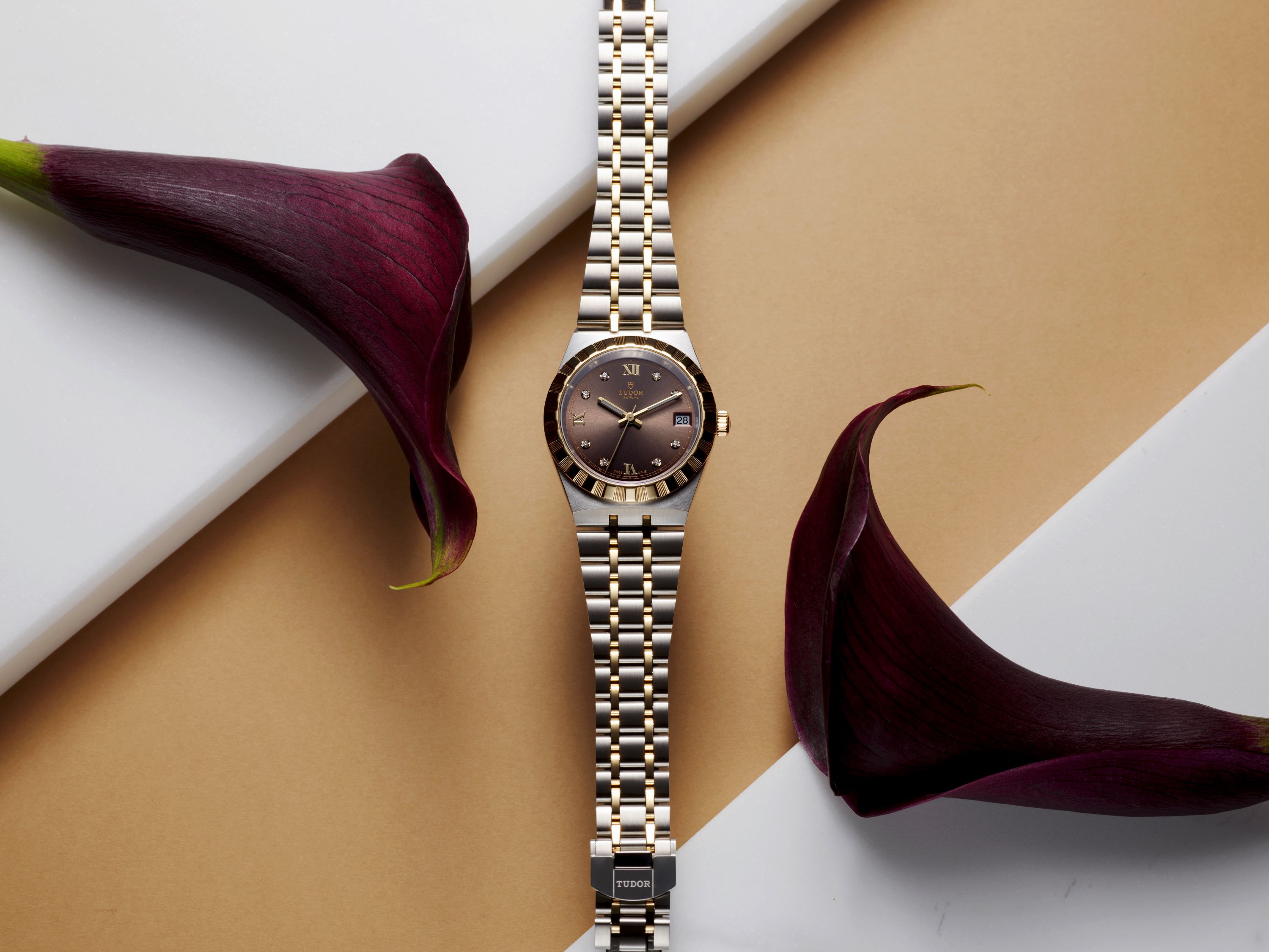 TUDOR Royal腕表，28毫米、精鋼、精鋼與黃金一體式表帶、T201型自動上鏈機械機芯，時間與日期顯示，面盤鑲嵌8顆鑽石時標，13萬4,000元。圖／TUDOR提供