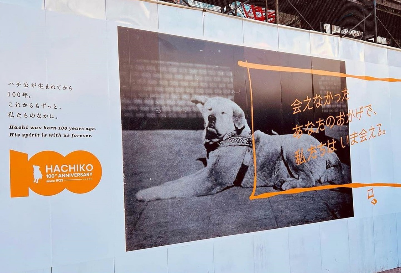 忠犬八公誕生100周年：澀谷車站前，世界最知名的秋田犬故事| 過去24