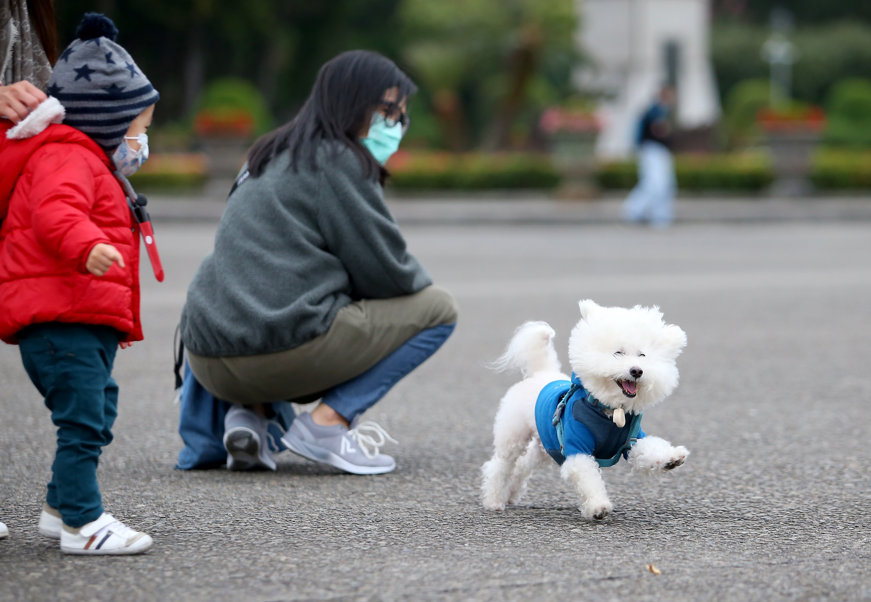 台湾仍属于狂犬病疫区，北市府扩大宣导深入邻里，呼吁饲主带宠物施打。犬猫示意图。联合报系资料照