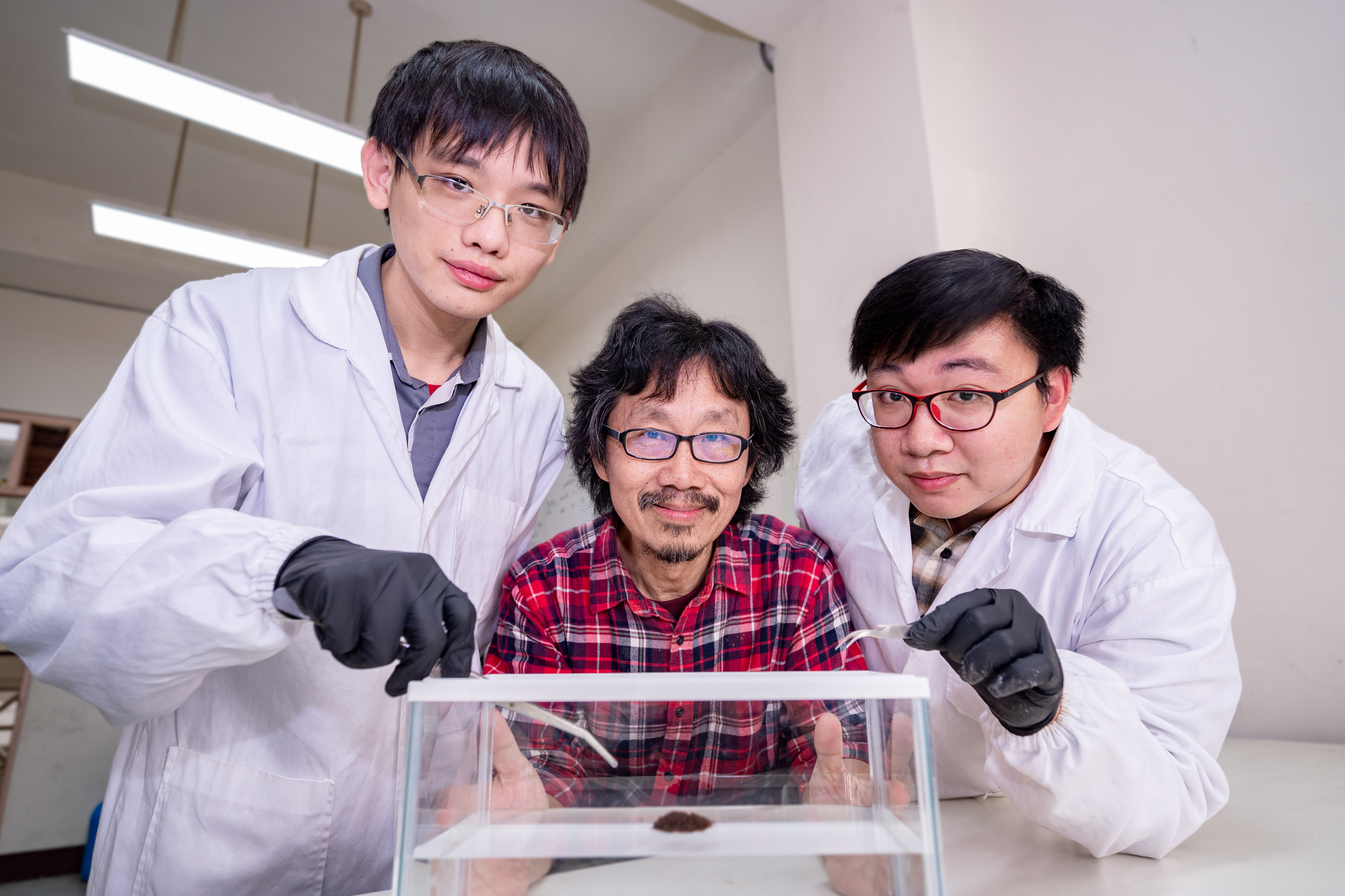 清大物理系教授洪在明（中）指导研究生陈中皓（右）、谢廷珩（左）研究红火蚁结筏成因。图／清大提供