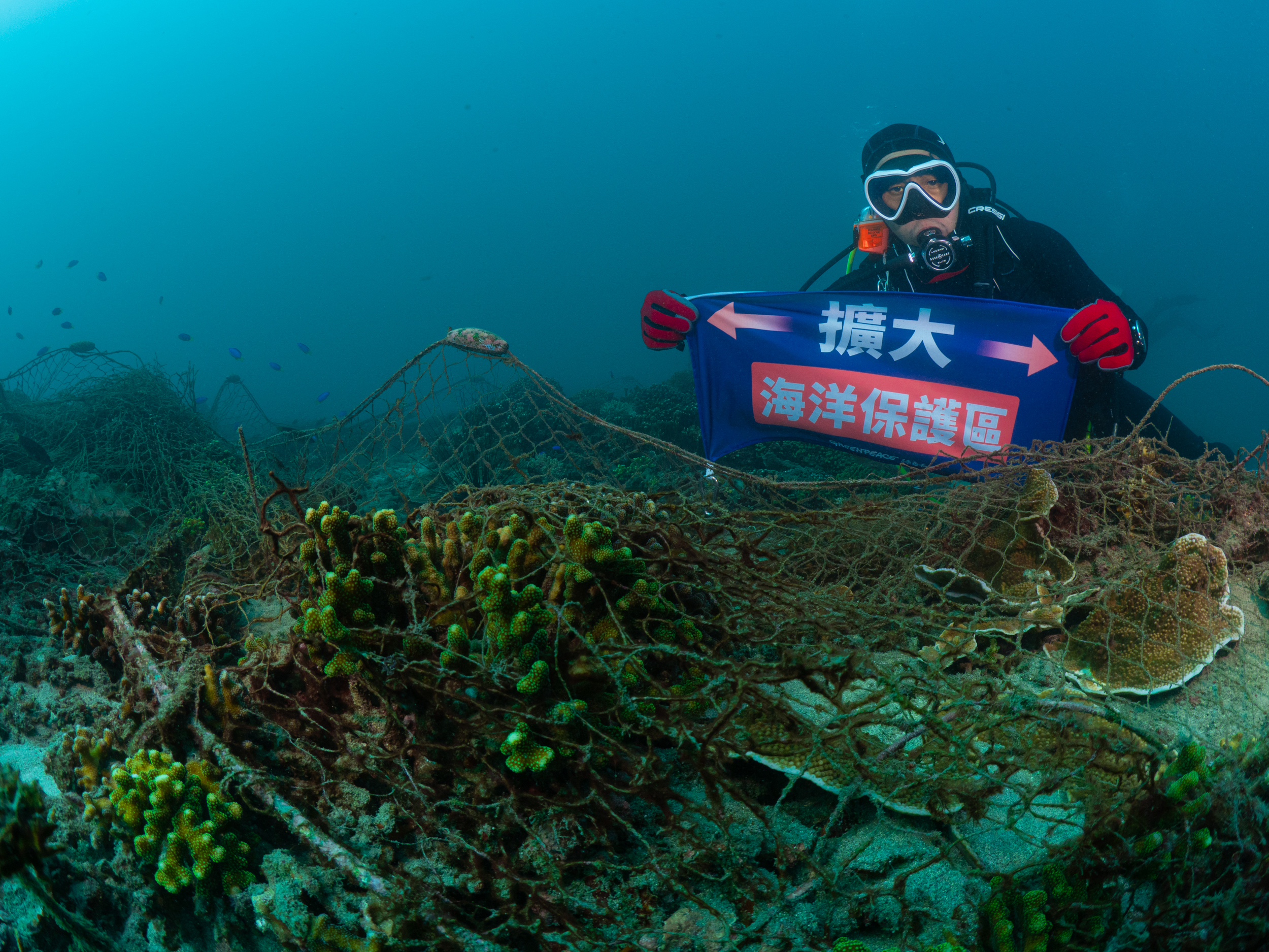 2022年绿色和平于澎湖发起净海行动在水下发现大批废弃渔网覆盖珊瑚。图／绿色和平提供