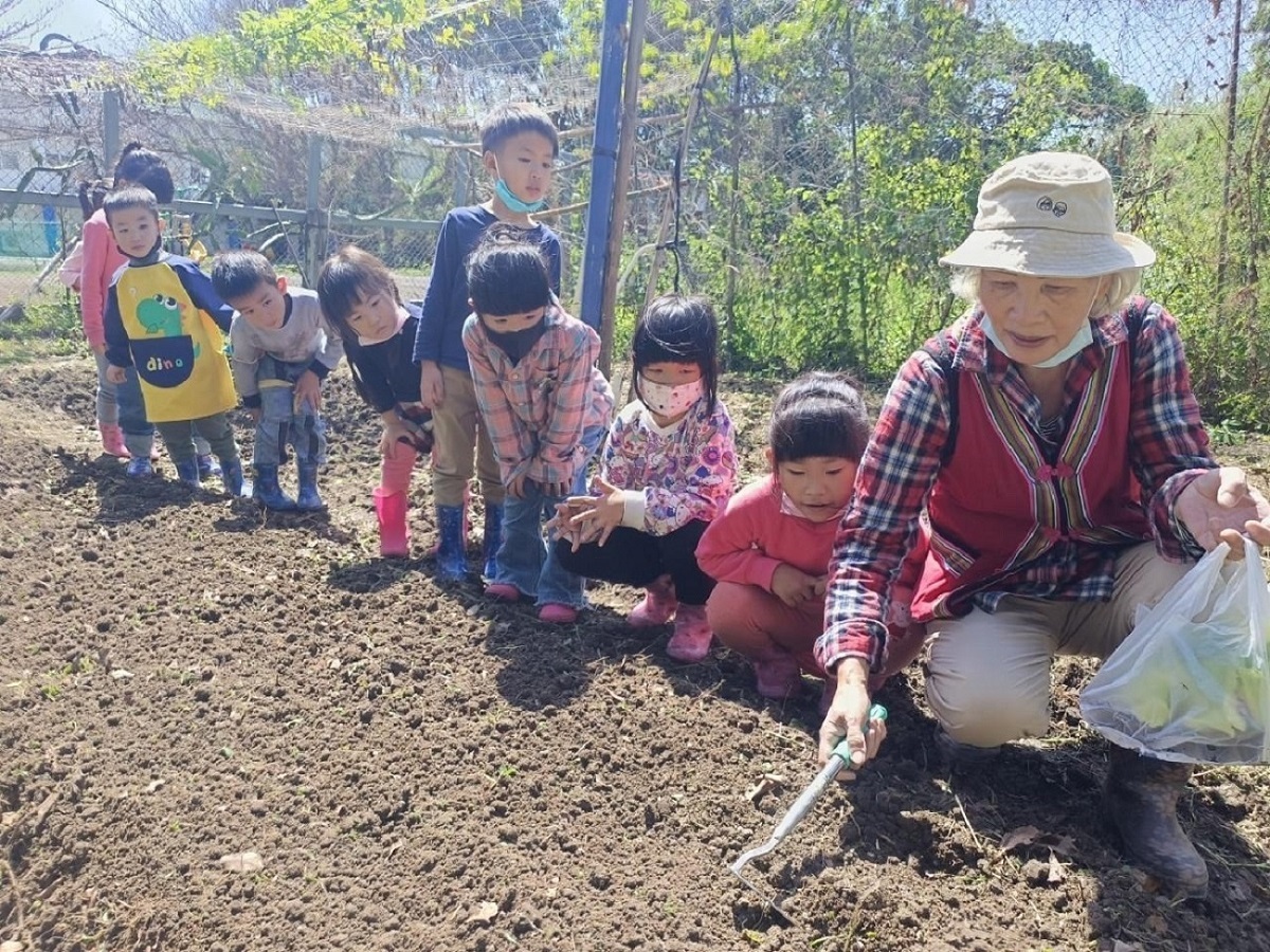 台东县忠孝国小附幼于春耕季节学习mikarkar（挖土种植）。图／教育部提供