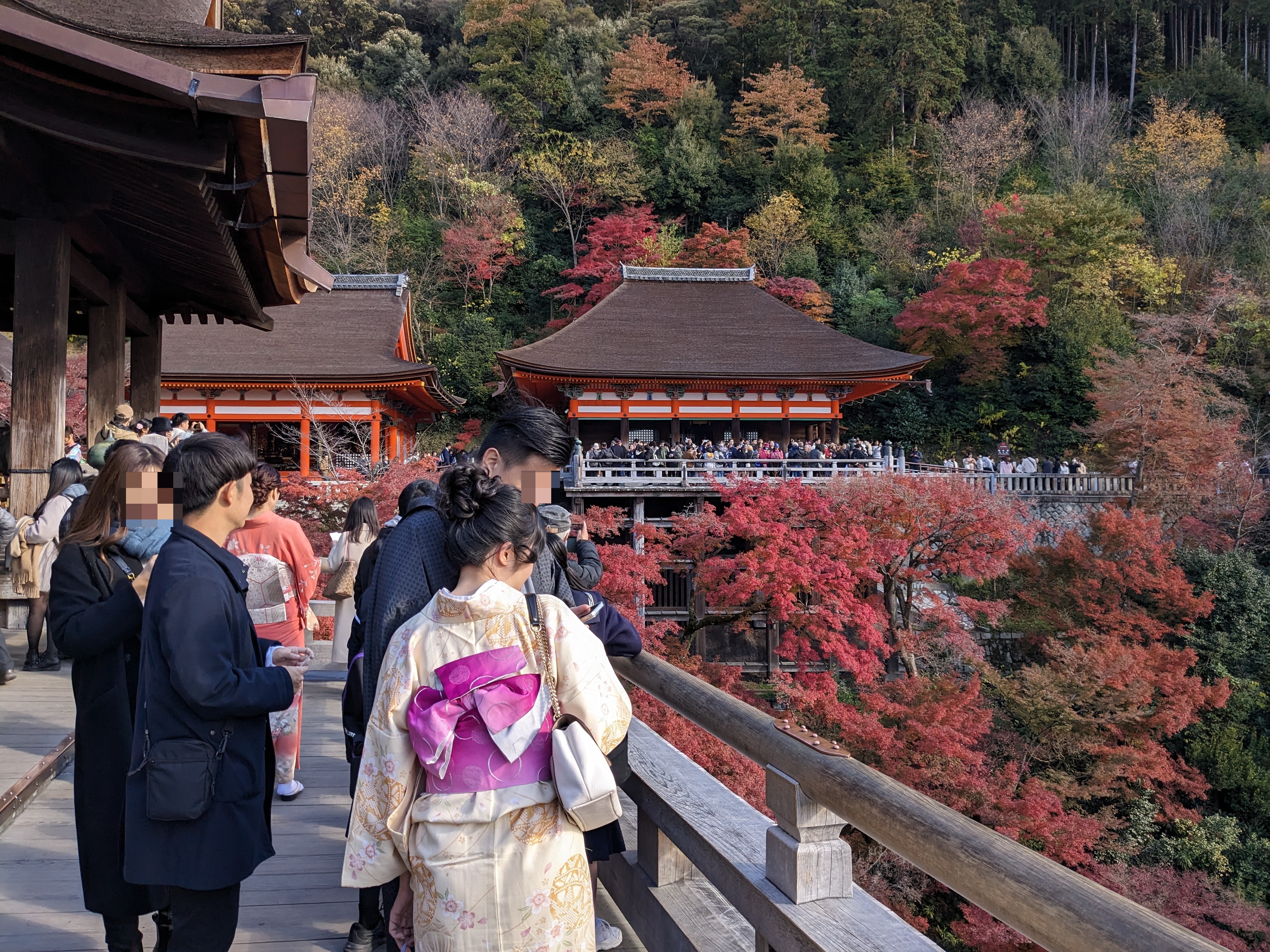 日本疫后观光潮，图为清水寺枫红盛况。图中人物与新闻无关。本报资料照片