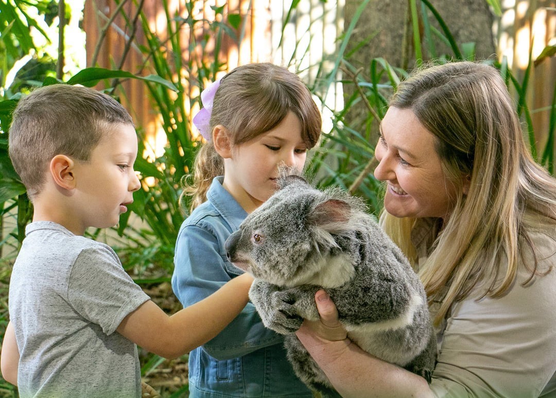 澳洲亲子团库伦宾动物园。加利利旅游/提供