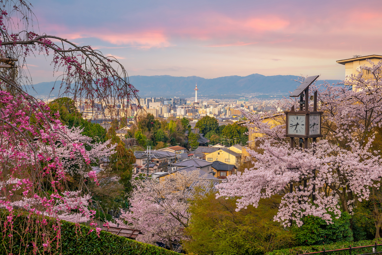 京都樱花季观光人潮爆满，严重影响当地居民。图／Ingimage