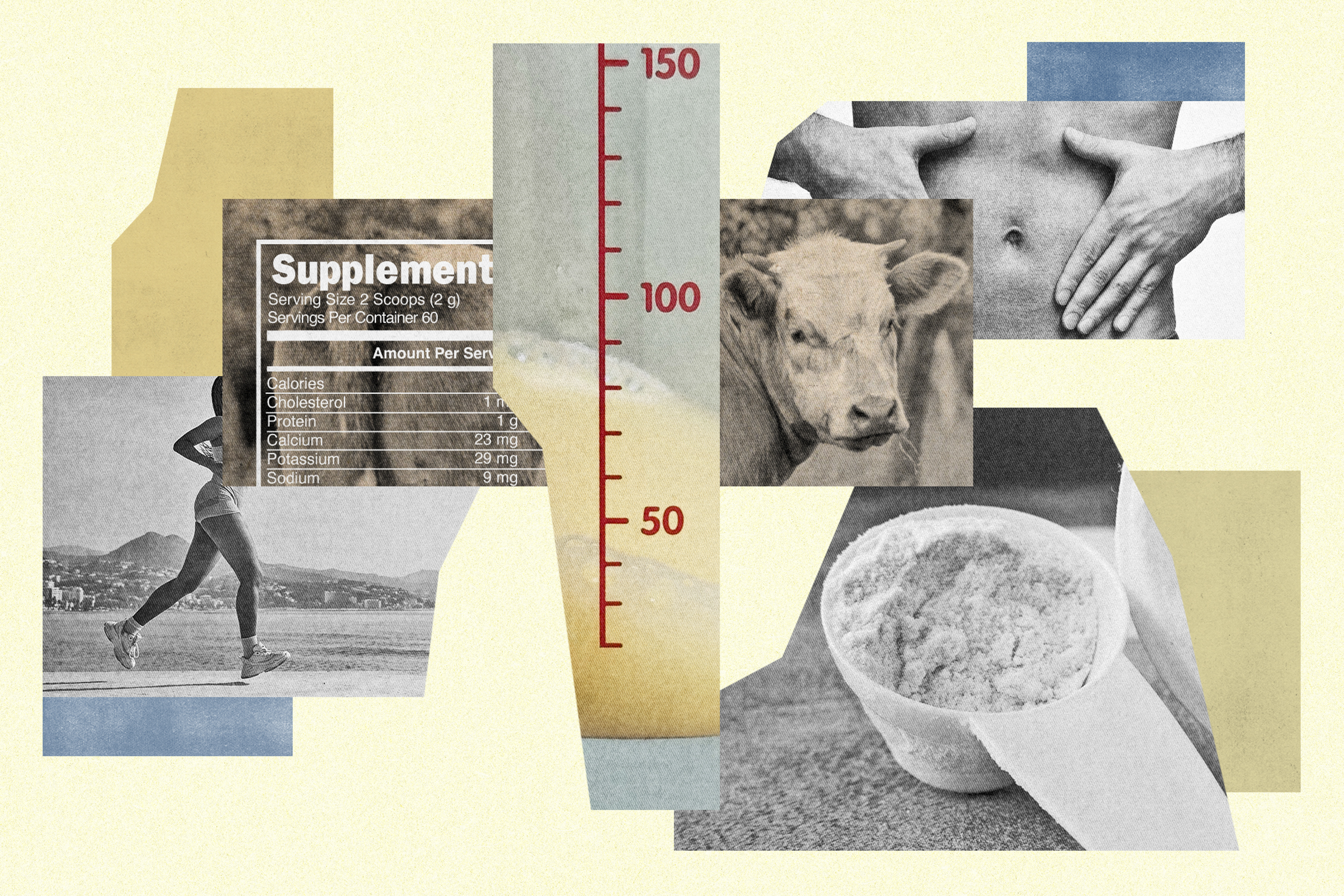 保健品公司将乳牛初乳制成人类营养补给品贩售，宣称能帮助调节免疫系统、改善消化道健康，帮助肌肤再生、加速运动后身体修复等等。真有这么神奇，还是一场「智商税」考验？图／纽约时报