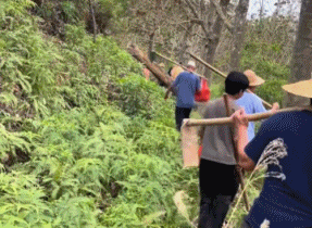 华南地区祭祖扫墓，攀爬悬崖、竹子当桥、电锯开路，就像一场大型荒野行动。(取材自微博)