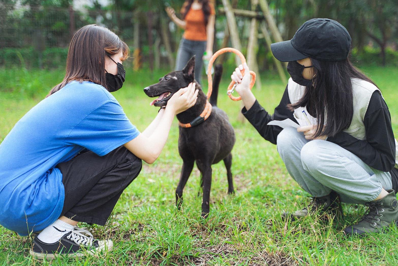 宜兰县动植物防疫所与义工伙伴，经常在宠物公园举办毛小孩爱护、养护宣导活动，建立狗狗与人们的彼此信任。图／翻摄宜兰收容所义工队
