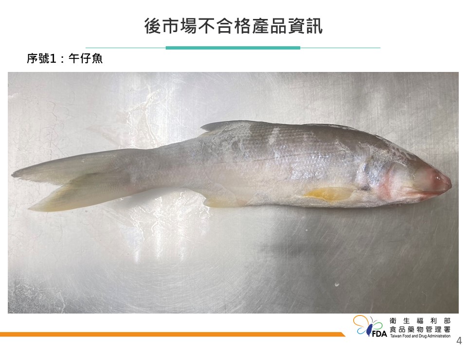协春水产有限公司的午仔鱼，被检出「还原型孔雀绿」。图／食药署提供