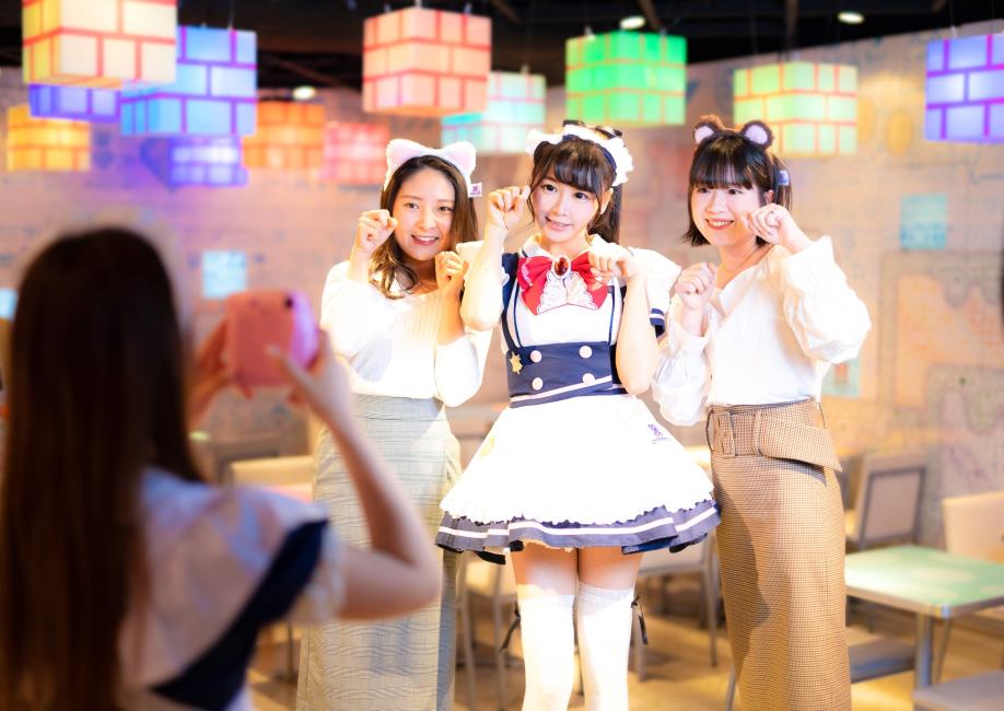 旅游电商平台KKday分推出「涩谷女仆咖啡厅」体验，售价815元起。图／KKday提供