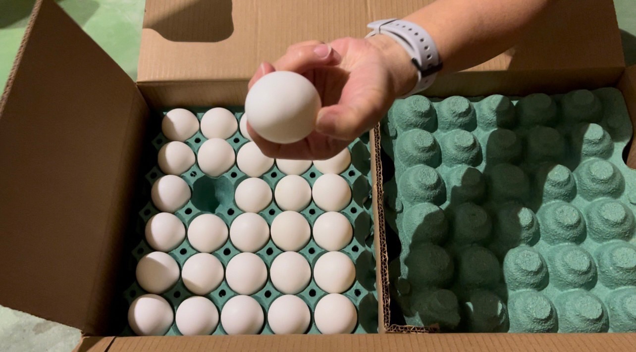 媒体报导，过期进口鸡蛋销毁的时程拖延，多花了8000万元人民纳税钱。农业部澄清，指8000万元是所有进口鸡蛋的仓储费用。示意图。图／云林县卫生局提供