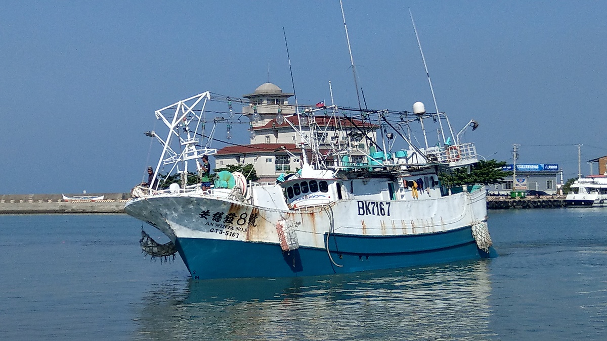 屏东琉球籍渔船「安稳发8号」渔船通报今天下午在台湾东南海域捕获今年屏东「第一鲔」黑鲔，已火速返回将于17日晚上回到东港渔港等验鱼。图／东港区渔会提供