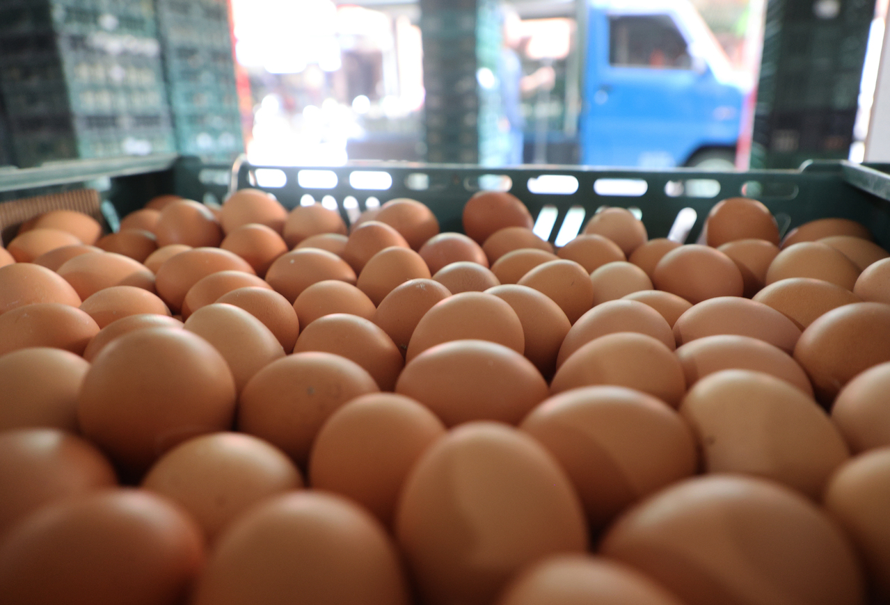 农业部代理部长陈骏季表示，过期蛋剩余220万颗，预计19日全数销毁。示意图。图／联合报系资料照片