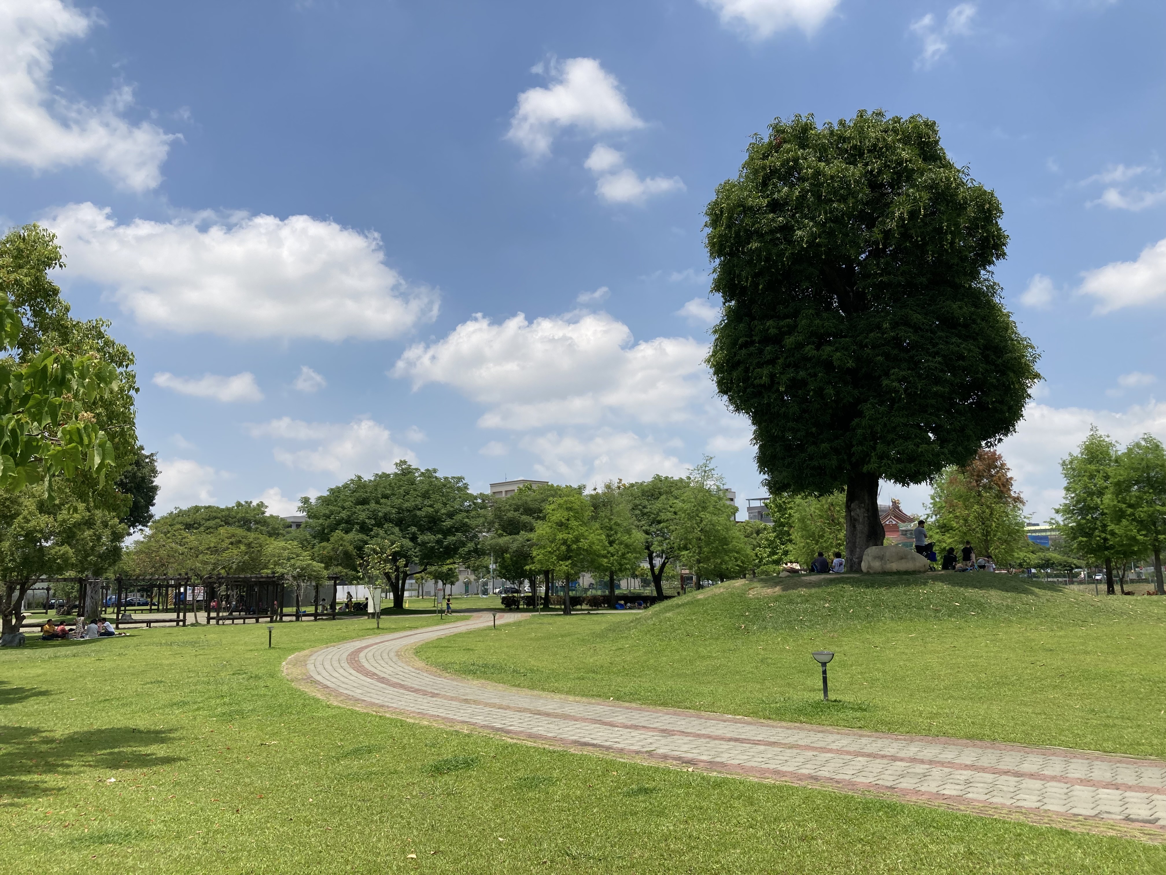 北屯区亲子周末好去处的南兴公园占地2万坪，图为南兴公园内知名景点「米奇树」。 （图:信义房屋提供）