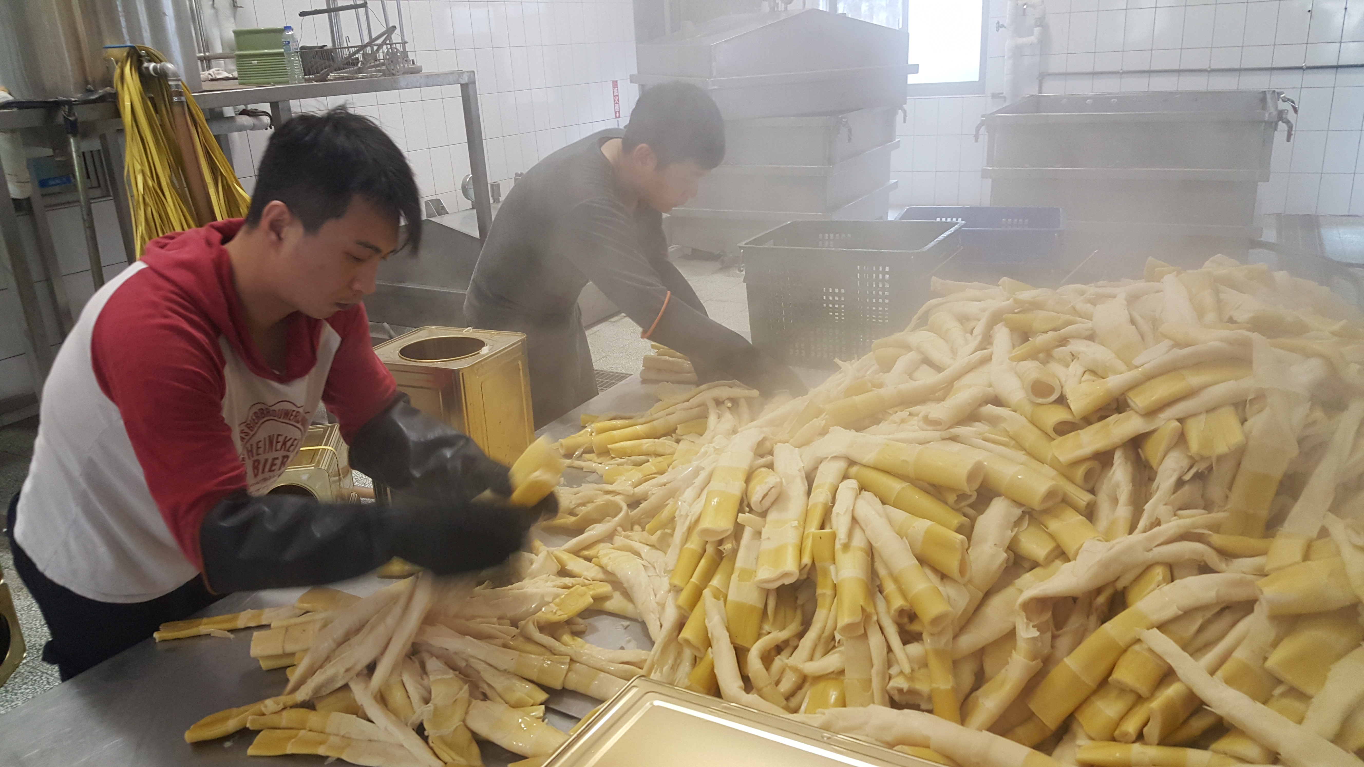 今年桂竹笋产季已至，狮潭乡农会4月8日开始收购，杀青后加工成桶笋、真空包竹笋。联合报资料照片