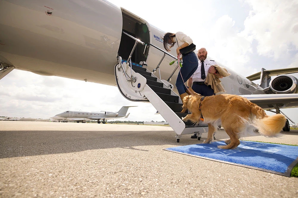 Bark Air不仅允许狗狗上机，且可省略海关、安检程序，只要在飞机起飞前一小时，和饲主抵达机场即可。 (来源：取自Bark Air官网)