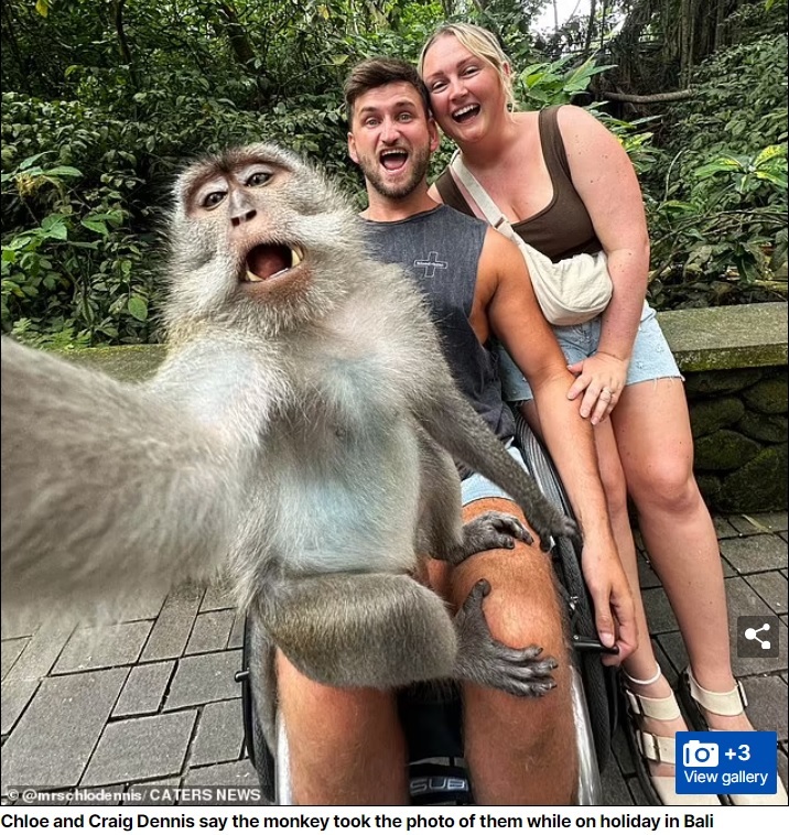 克洛伊和丹尼斯夫妻俩跟猕猴留下难忘的自拍照，画面十分有趣。图撷自每日邮报