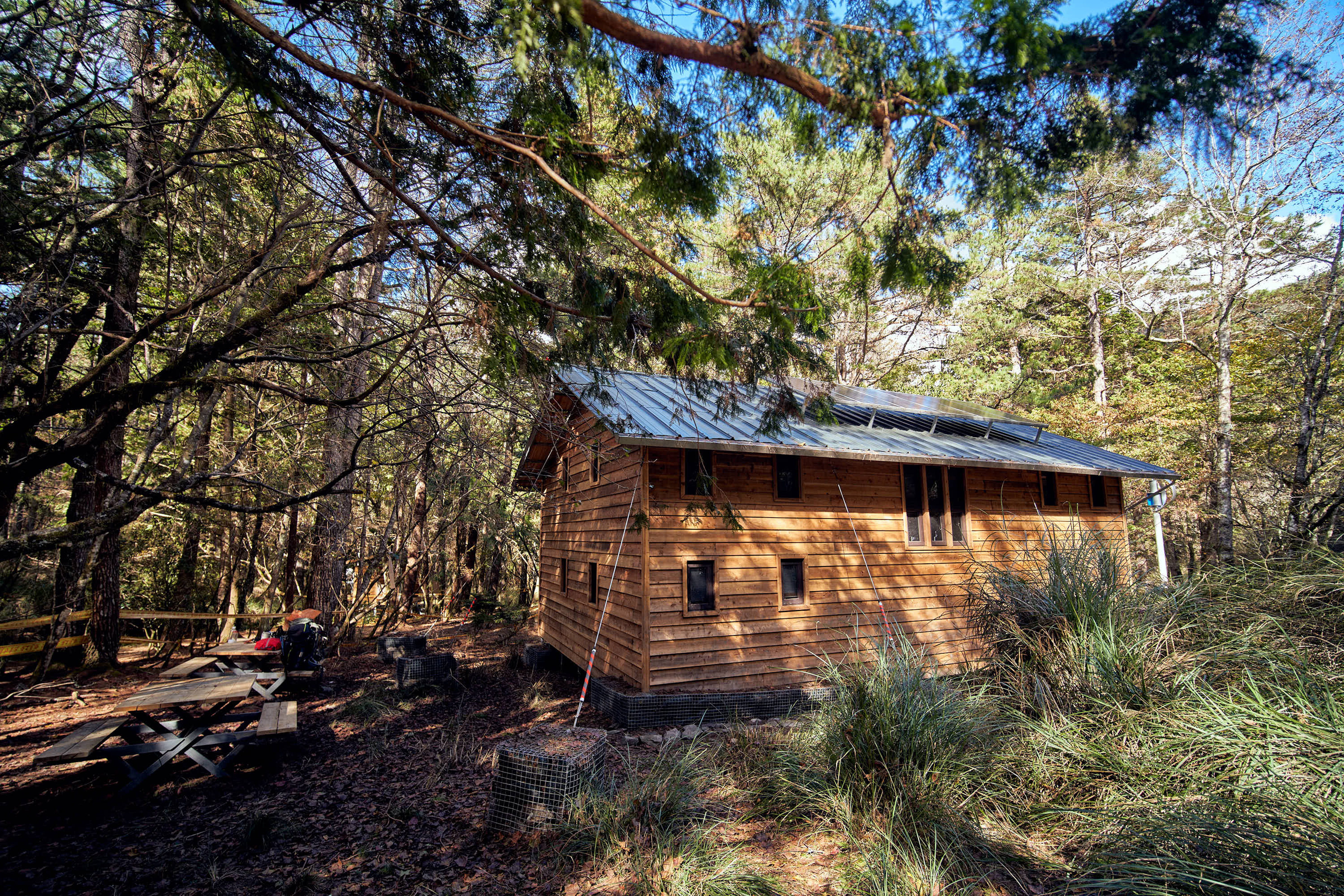 图3屏风山屋位于一片二叶松林地内，位于原本山友驻扎的松针营地上。图／太管处提供