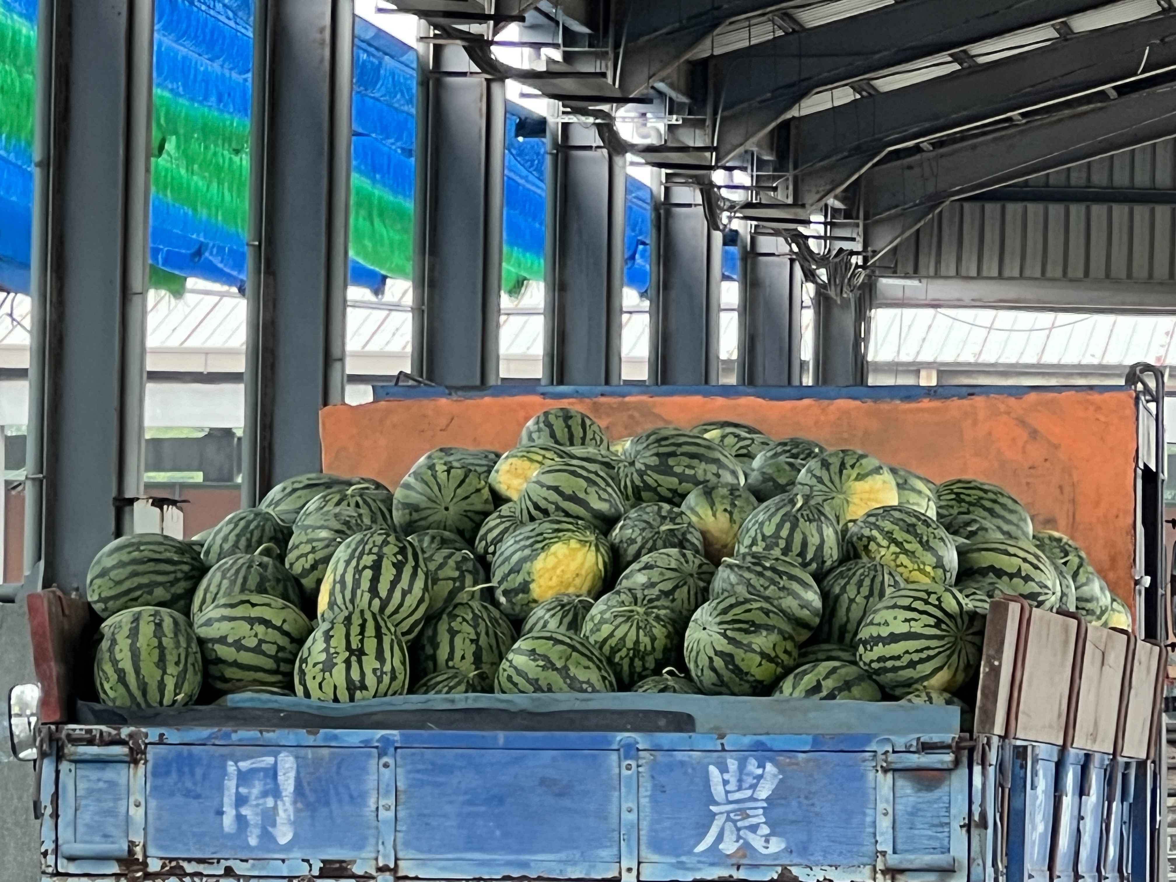 云林县二仑乡正值西瓜盛产季，农民采收后穿梭在街上或自强果菜市场贩售。记者陈苡葳／摄影