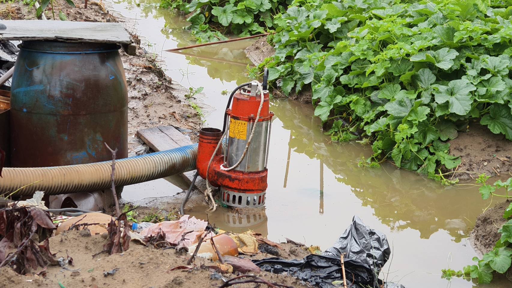 上午雨势下得又急又大，有农民自备抽水机紧急抽水，但排水有限。图／民众提供
