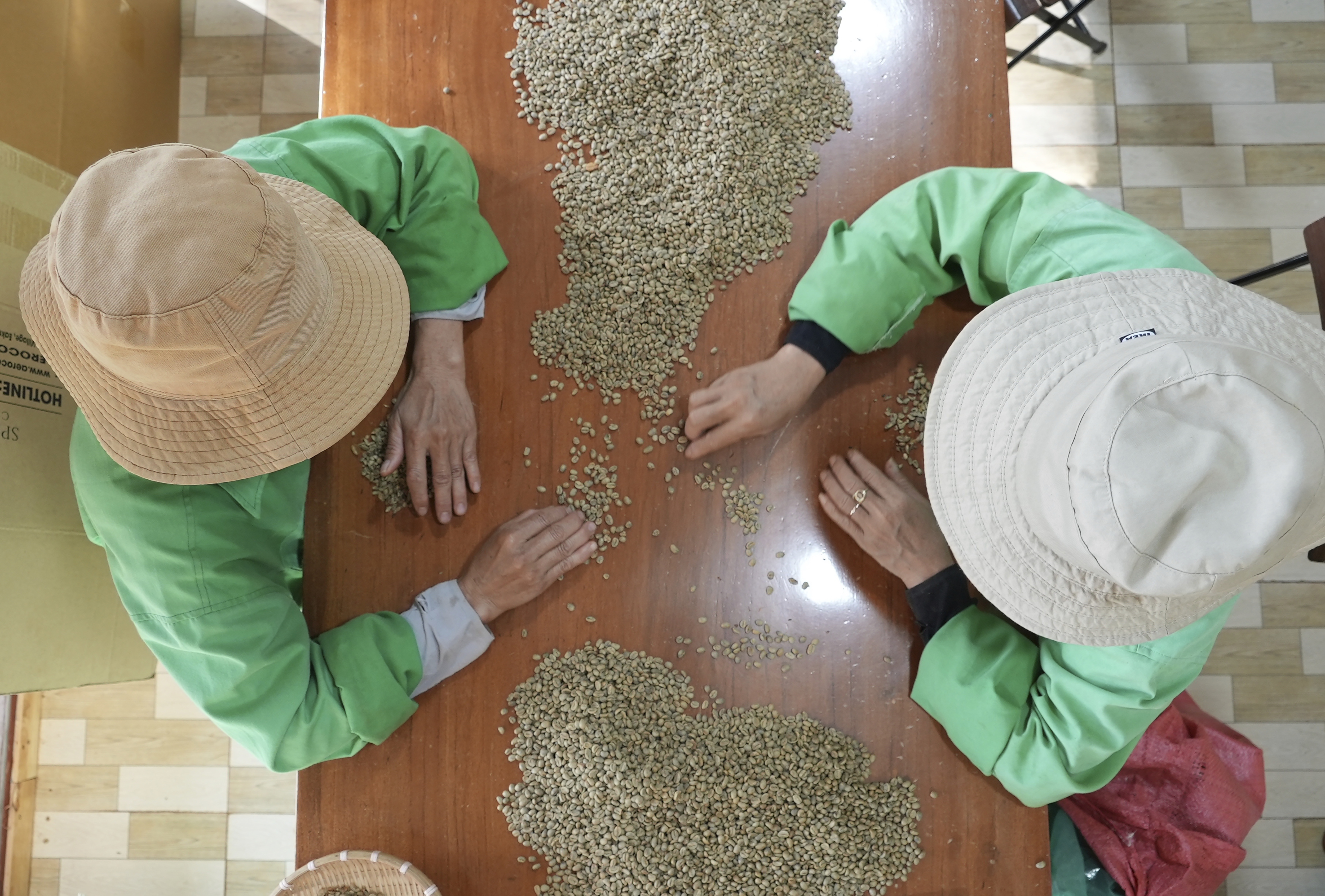 越南咖啡豆收成不佳、农场囤货造成供应吃紧，价格料将持续上涨。图为越南多乐省咖啡工厂。美联社