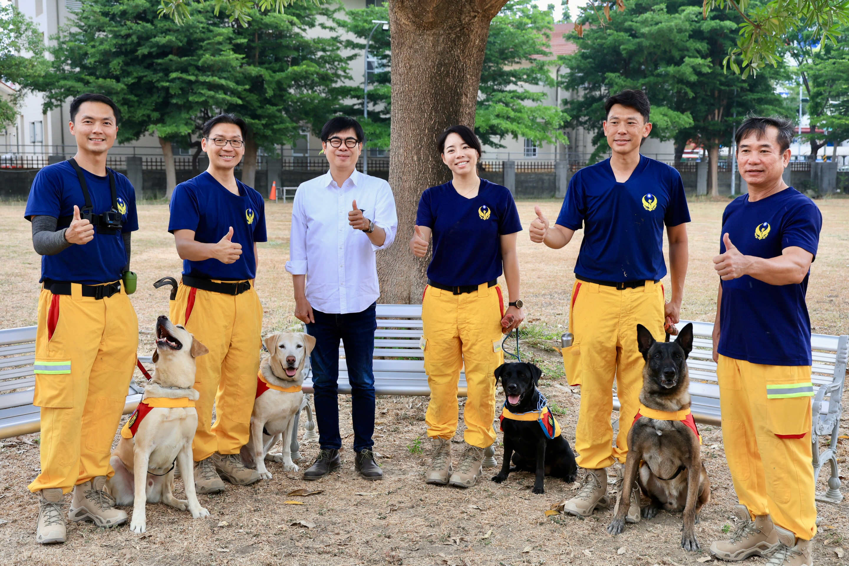 今国际搜救犬日，市长陈其迈到搜救犬驯养中心表达关心之意，并和领犬员及搜救犬体验「瓦砾堆搜索」、「摆荡平台」及「抛物拾回」等犬只服从训练。图／高市消防局提供