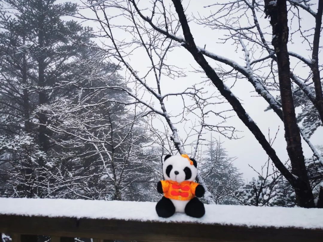 大陆五一小长假的第一天，许多游客在四川山区都遇到降雪。（图／取自《封面新闻》）