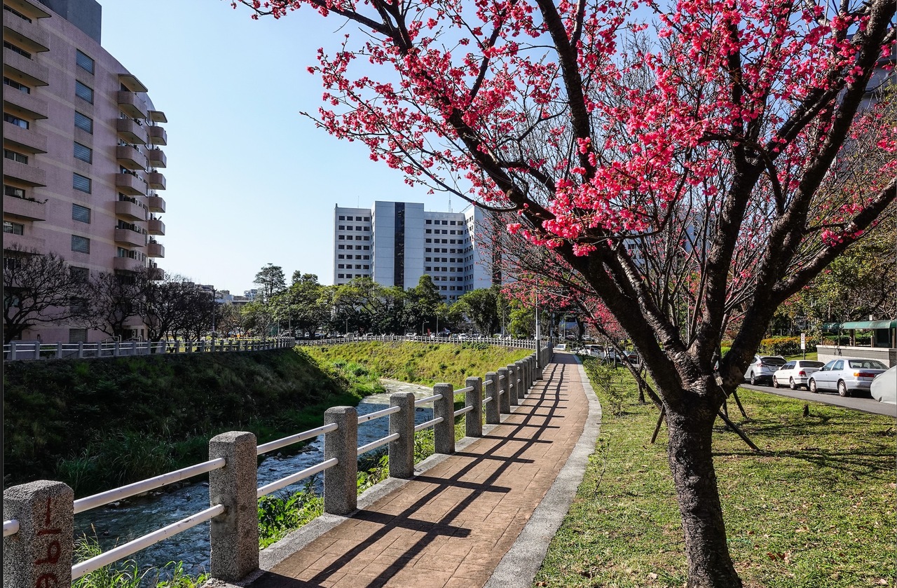 北市豪宅居冠年銷12戶「力麒天沐」即將絕版| 房市情報| 商情| 經濟日報