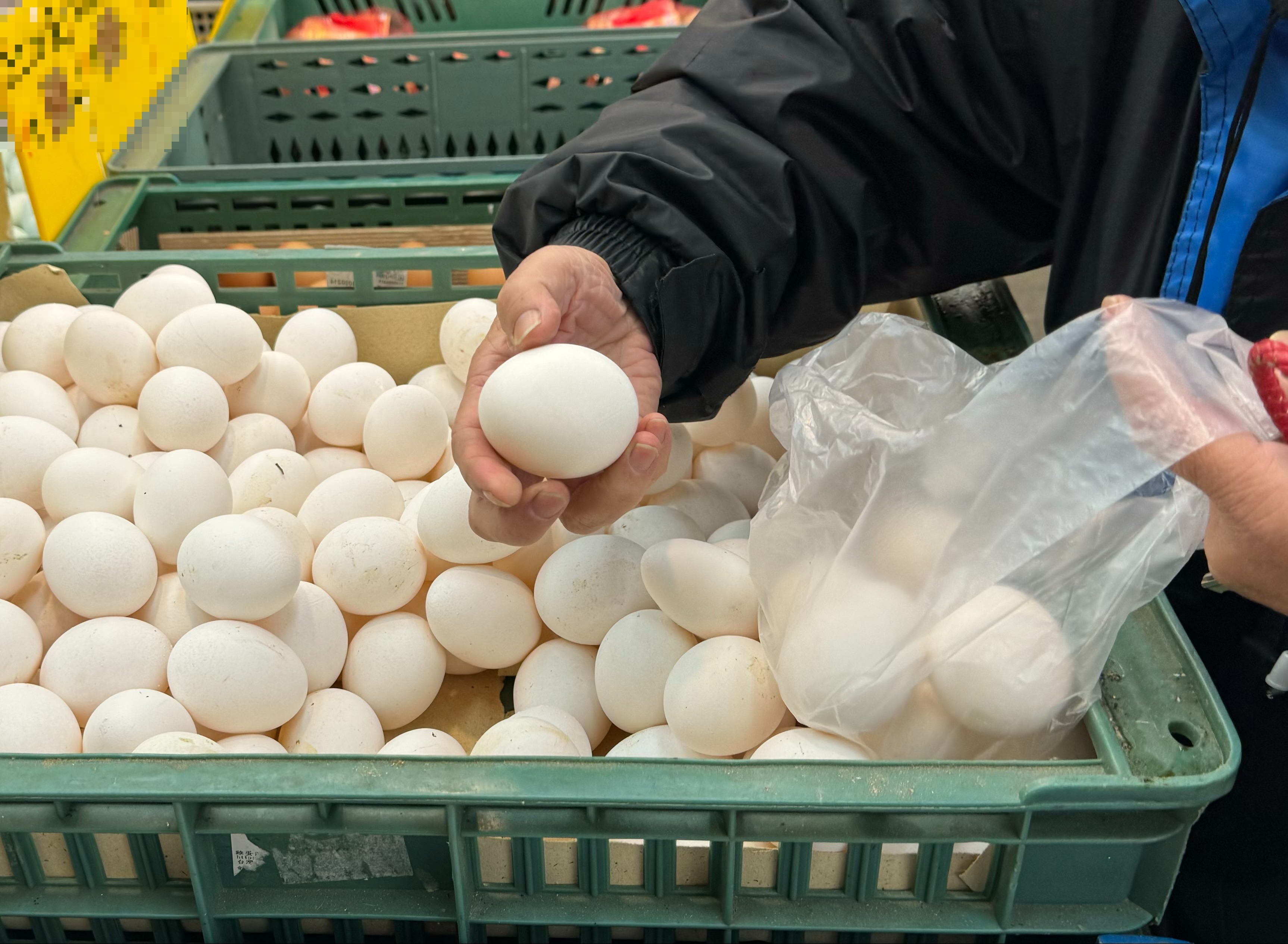 本周蛋价维持产地价每台斤35.5元、批发价每台斤45元。本报资料照片