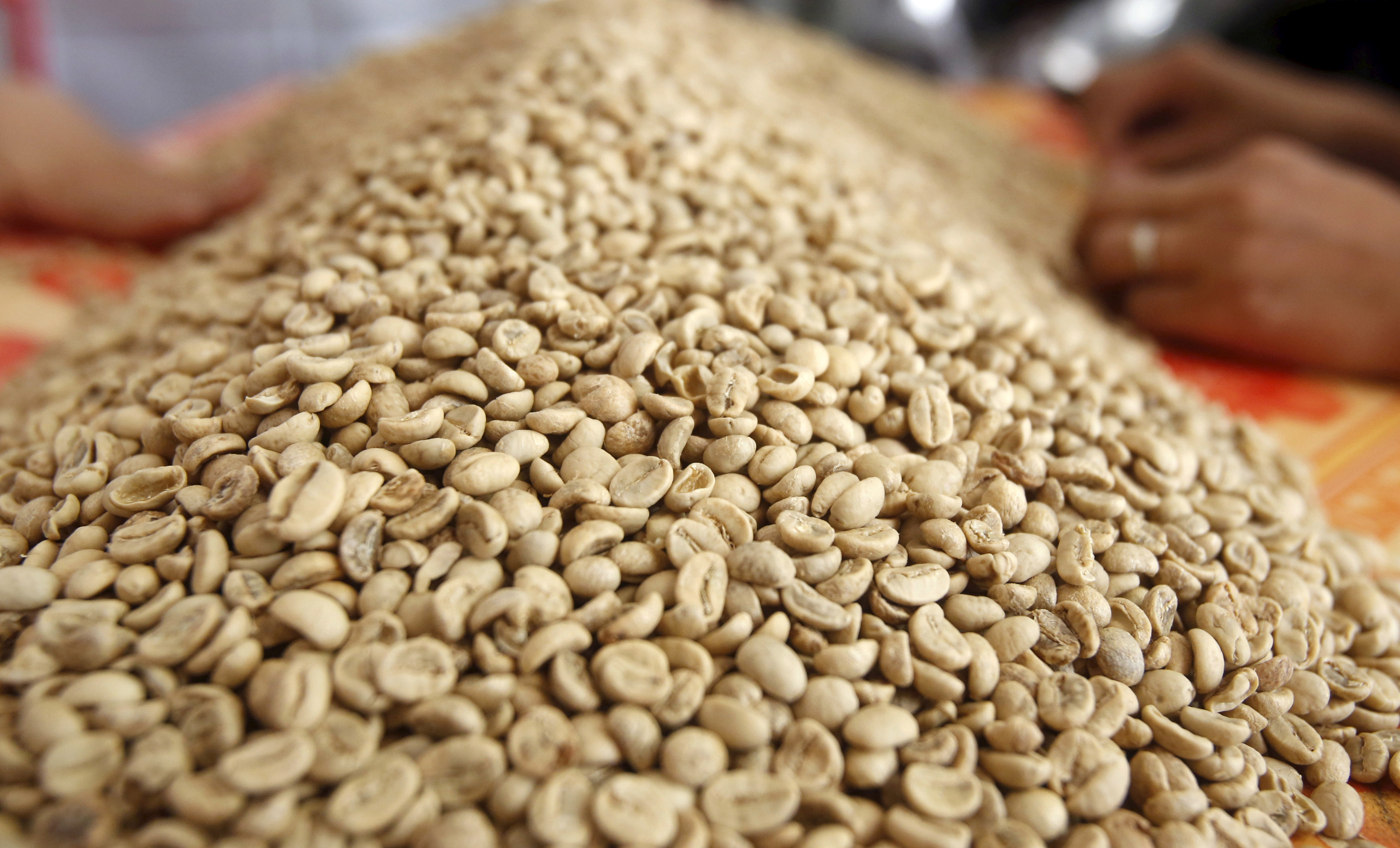 国际咖啡组织（ICO）的罗布斯塔咖啡豆批发价指数4月上涨17%，至1979年以来最高。路透