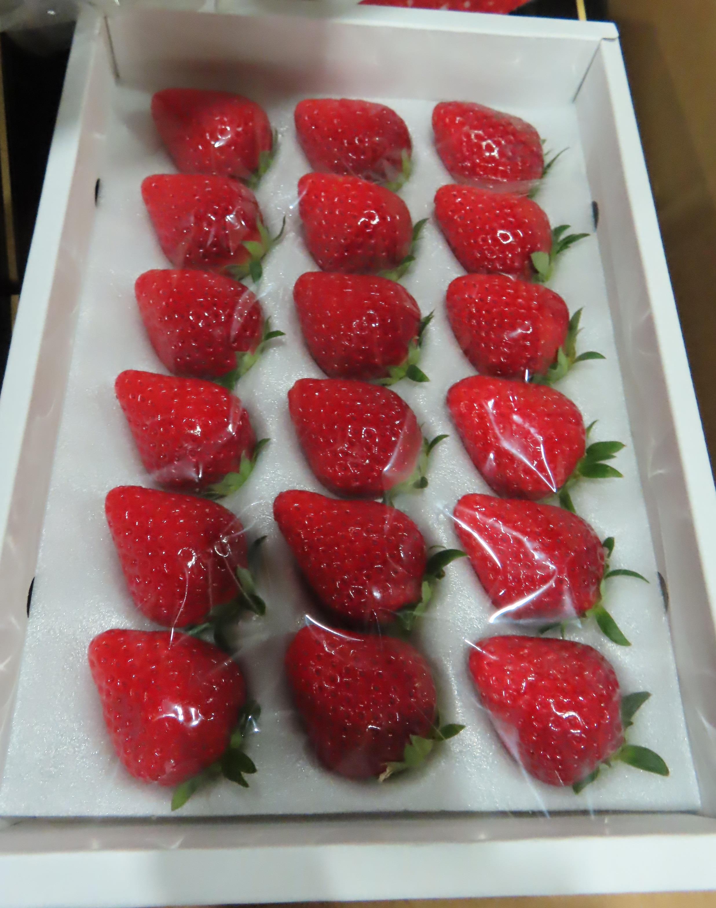 去年10月29日起到今年4月29日止，日本输入草莓累计32批违规，均为农药残留。图／食药署提供
