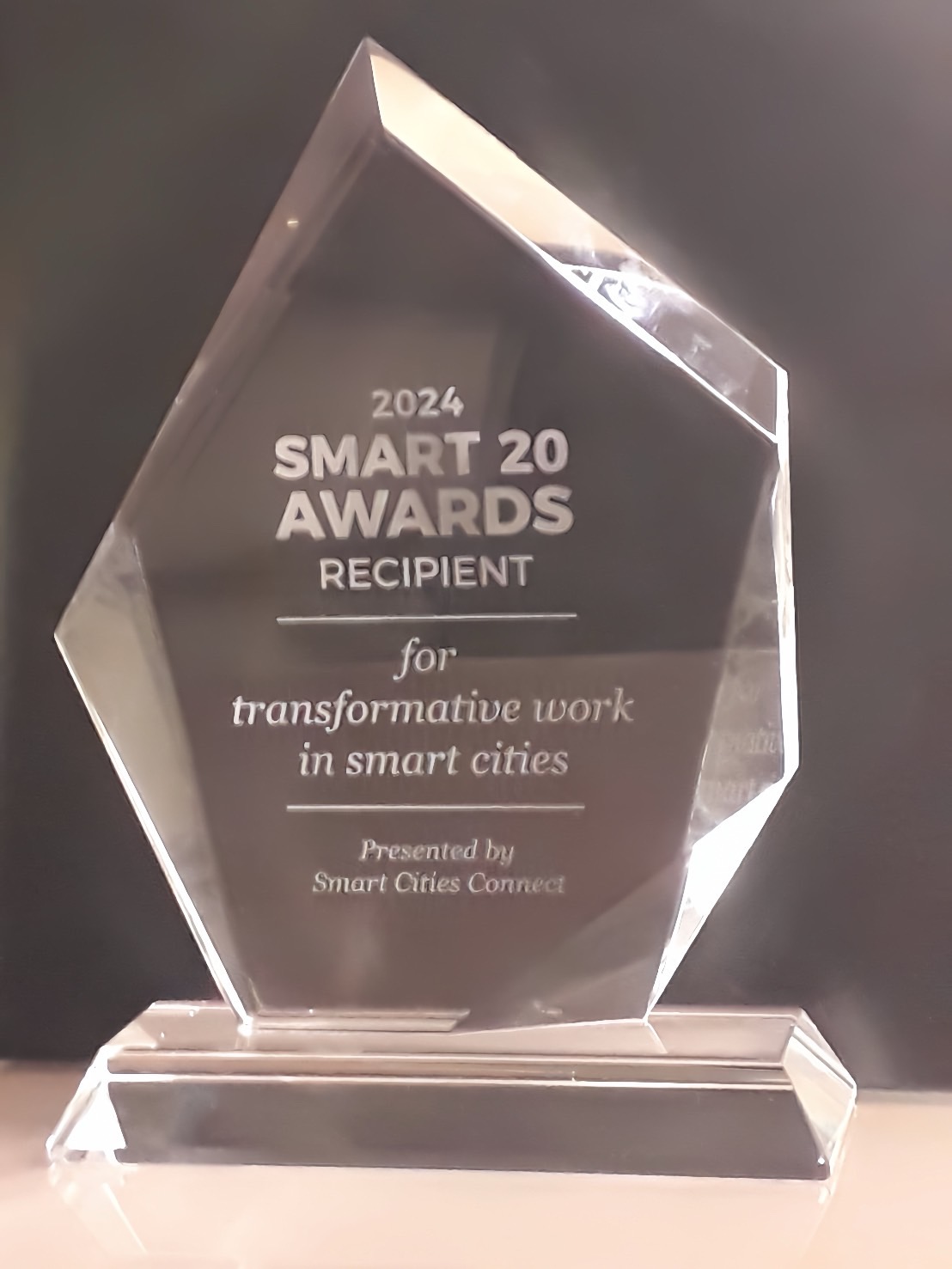智慧20大奖（Smart 20 Awards）奖杯。图／环境部提供