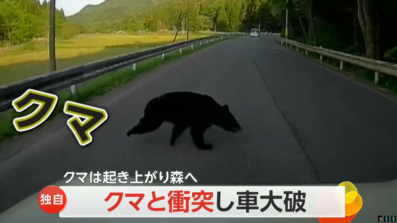 一名日本驾驶在行车途中撞到熊，车子因此严重受损。图撷自FNNプライムオンライン youtube