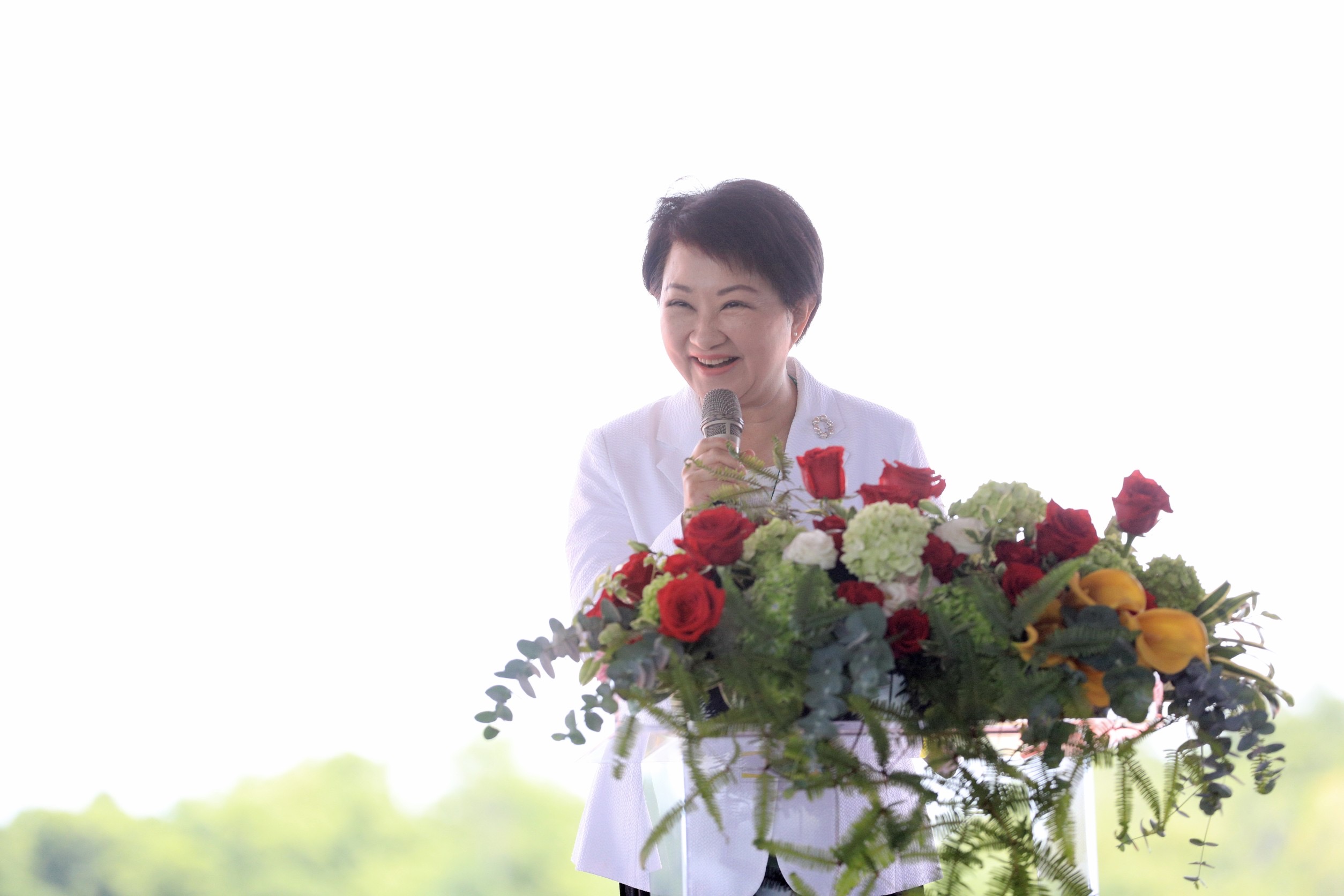 台中市长卢秀燕向议会请假，参加520正副总统就职典礼，蓝绿议员点头同意。图/联合报系照片