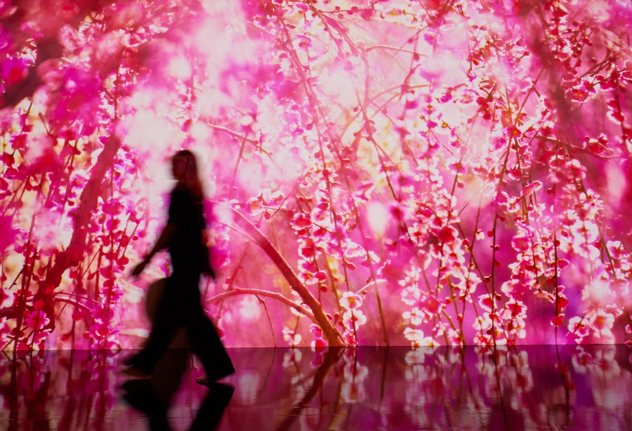 数位艺术投影墙透过5种光影特效与500张花朵照片的随机特效结合，打造出2,500种不同的沉浸风格。图／新光三越提供