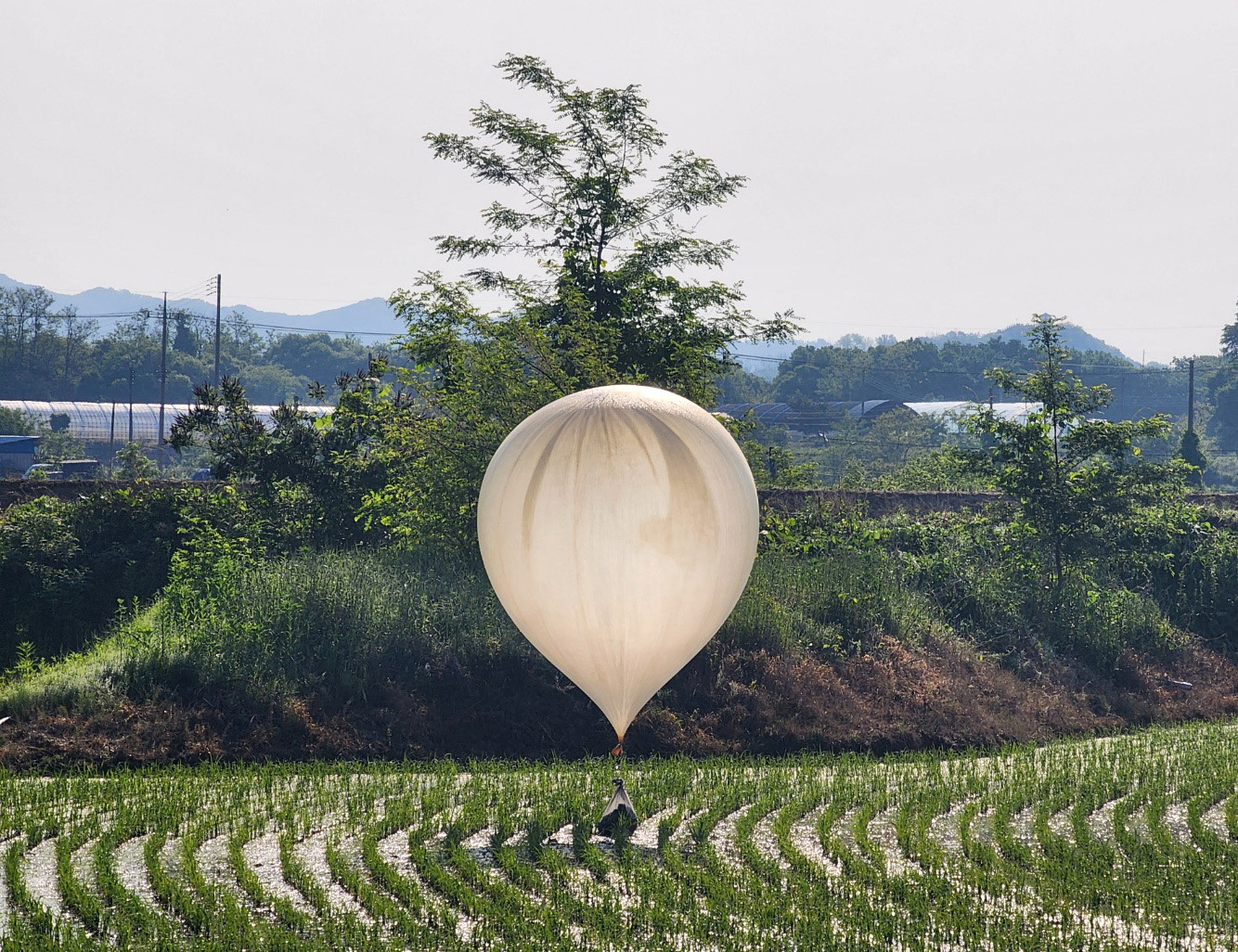 [新聞] 北韓空飄百顆「糞便氣球」報復！南韓發警