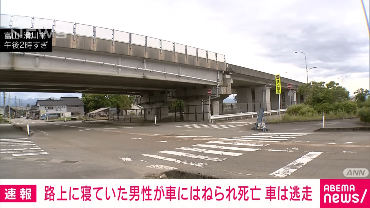 日本一位男子喝醉酒倒卧在路上，不幸遭辗毙。图撷自ANNnewsCH youtube