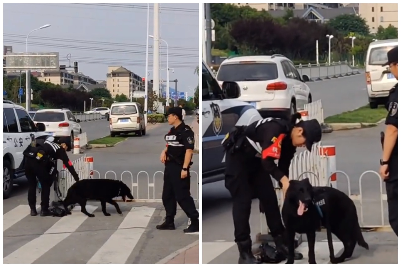 警犬被带下车时因没待在原地等候穿装备，遭女警狠狠拍打屁股警告。图取自小红书