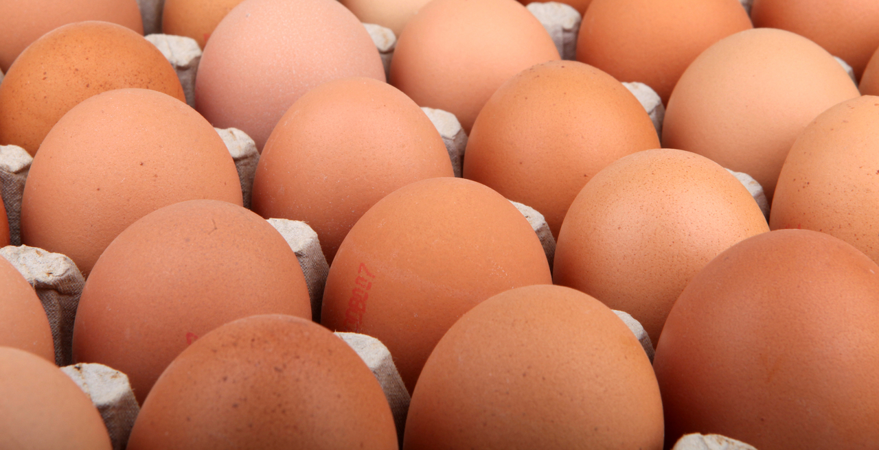 鸡蛋价格卖压沉重，尽管蛋价不断下跌，买气依然是冷冷清清，蛋商库存纷纷爆仓，市场呈现供需严重失调的窘境。示意图／ingimage