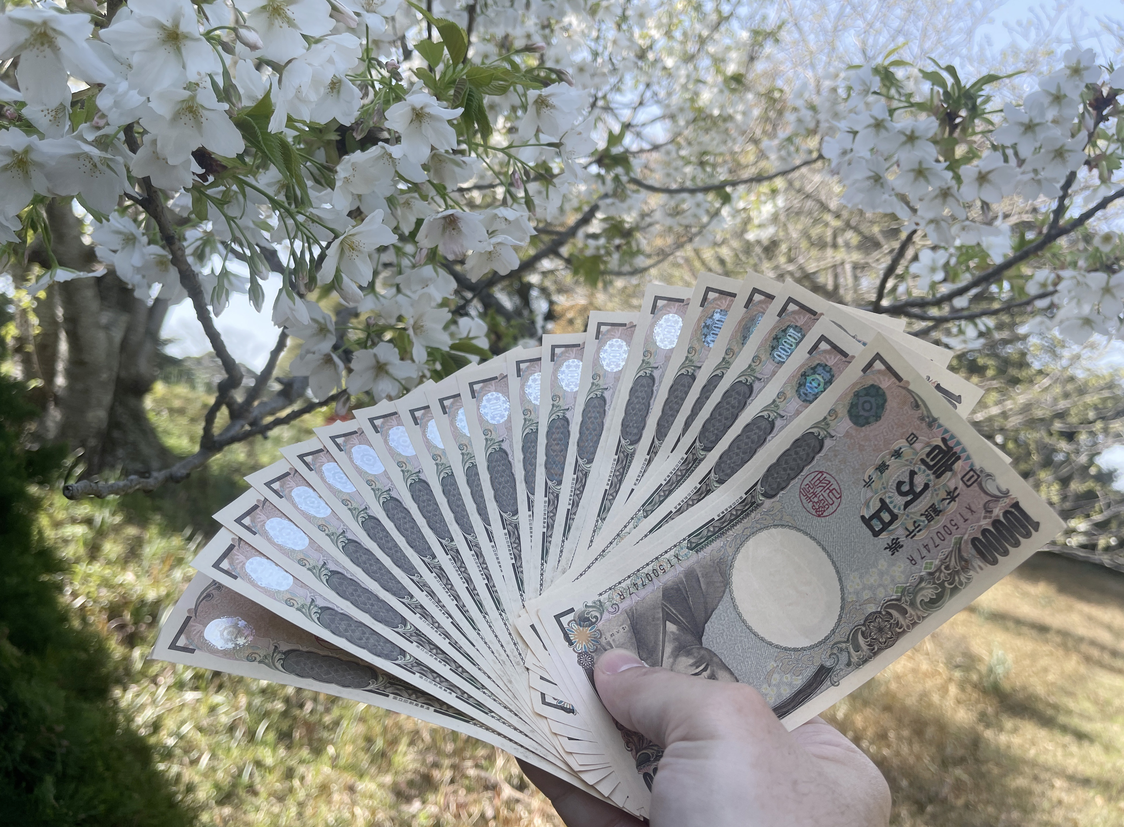 日本新版纸钞7月3日正式发行，日旅达人林氏璧今天表示，旧纸钞还是可使用，反而是新纸钞有可能碰壁。图为现在的日币。本报资料照片