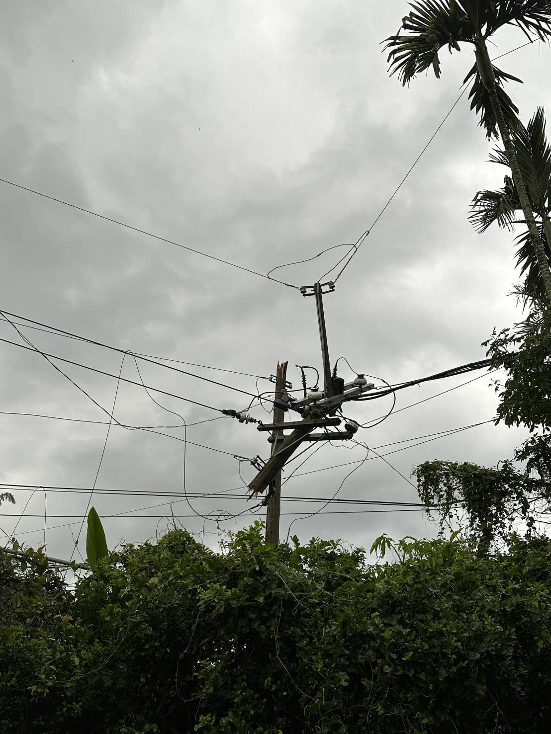 东势区东坑路大雨后两支电线木杆断裂，162户停电，今天下午5点休复。图／台电提供