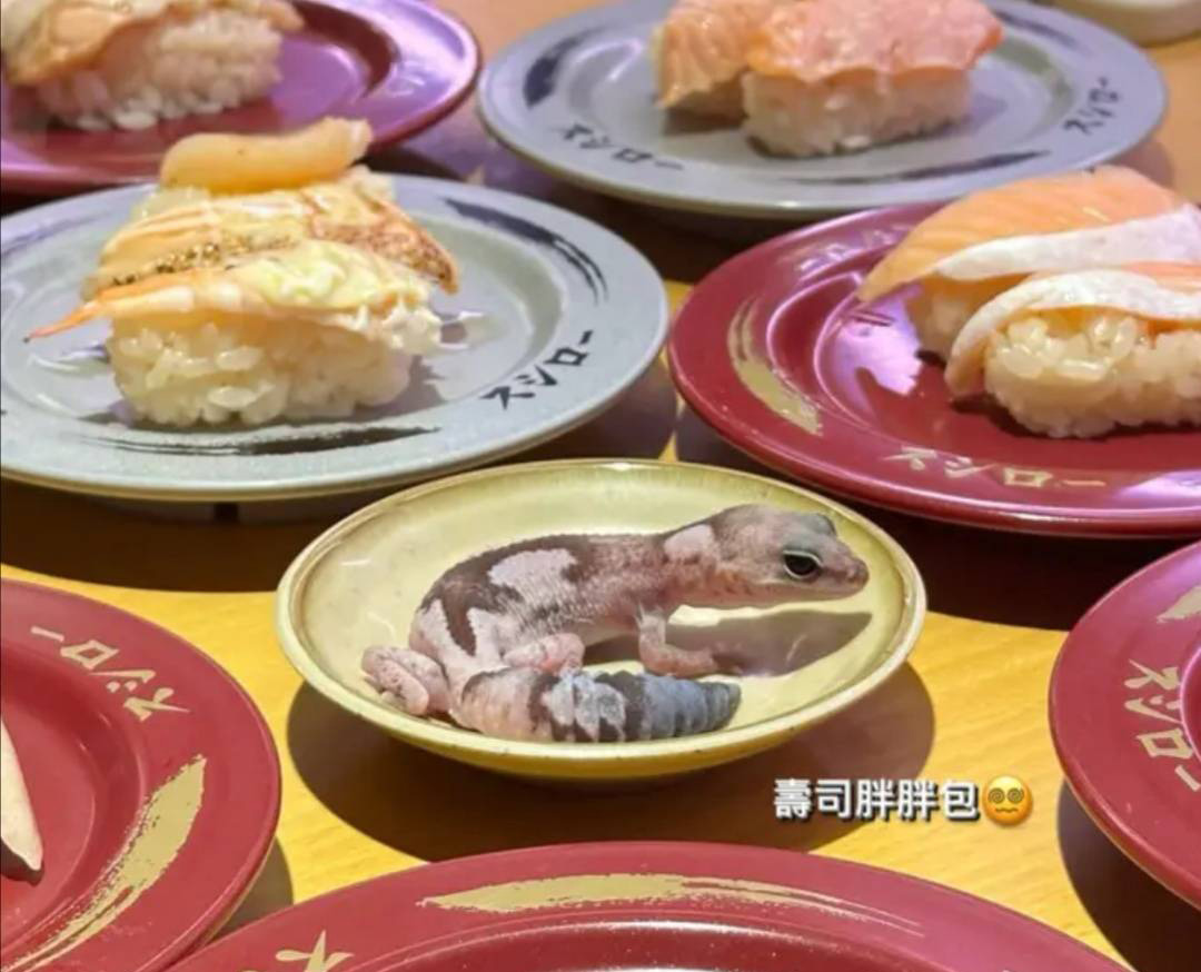 元智大学女大生将宠物守宫放在寿司郎酱料碟上，引发批评。图／撷取自Dcard