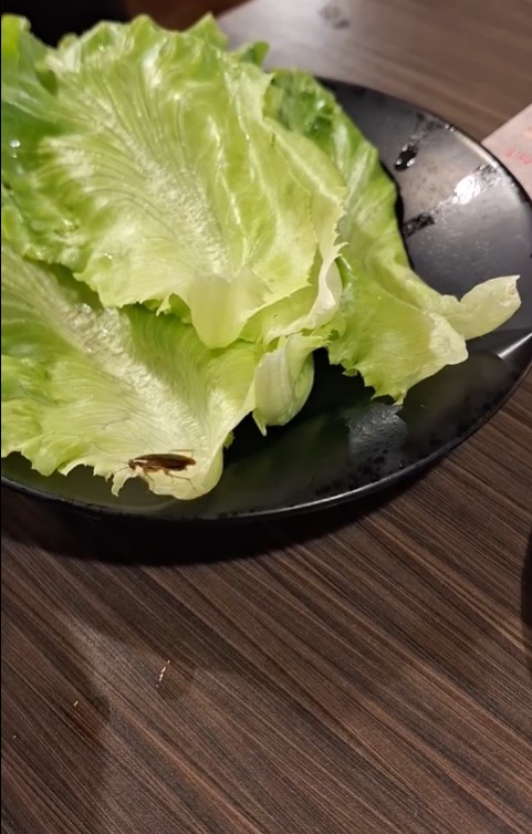 桃园市一家韩式烤肉被爆料生菜有蟑螂，卫生局表示已经入案要稽查。图／取自脸书「桃园大小事」