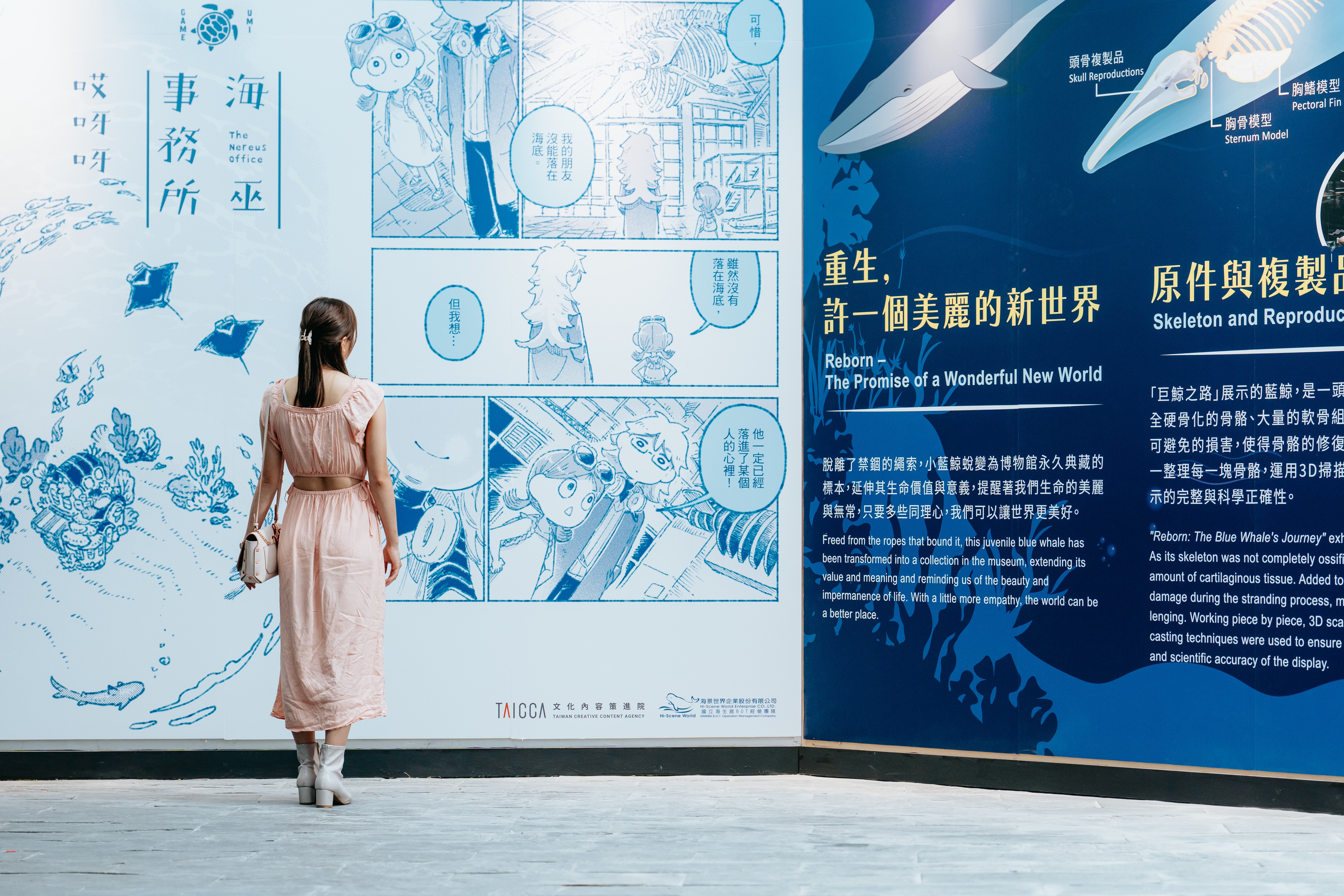 屏东海生馆邀台湾人气原创漫画「海巫事务所」作者哎呀呀，打造12公尺长的巨幅漫画墙，将海洋生物拟人化，展区变身大型漫画场景，开启博物馆和与台湾漫画合作新篇章。图／海生馆提供