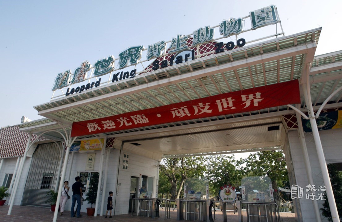 台南老字號動物園「頑皮世界」滿30年！國內首座企鵝園在這裡！ | 報時光