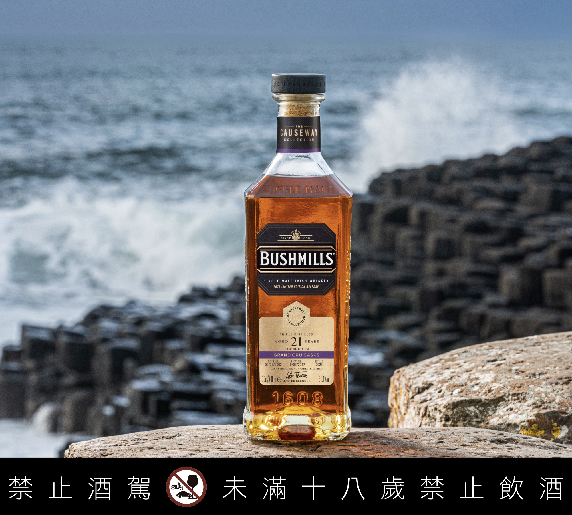 2000年製造 竹葉菁酒 古酒 （商品一覧[浦霞] - 【池田酒店